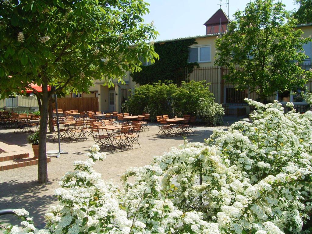 Zum Rittmeister Werder (Havel) Exterior foto